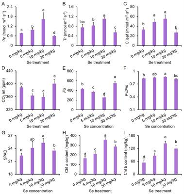 Preharvest sodium selenite treatments affect the growth and enhance nutritional quality of purple leaf mustard with abundant anthocyanin